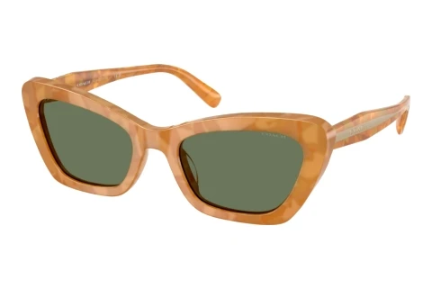 Sunglasses Coach CDP52 (HC8452U 593982)