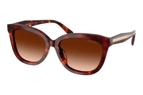 Sunglasses Coach CDP53 (HC8453U 593874)