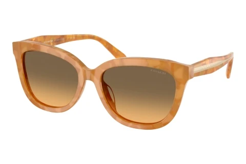 Sunglasses Coach CDP53 (HC8453U 593911)