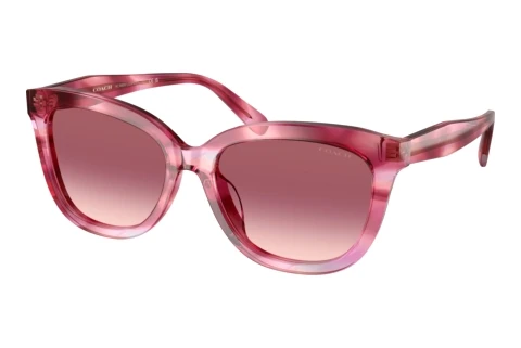Sunglasses Coach CDP53 (HC8453U 59417W)