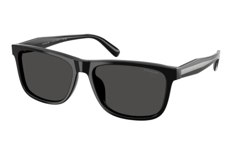Sunglasses Coach CDP55 (HC8454U 500287)