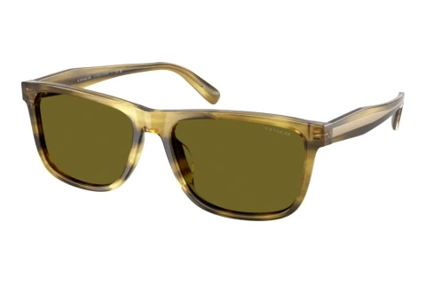 Sunglasses Coach CDP55 (HC8454U 5945/2)
