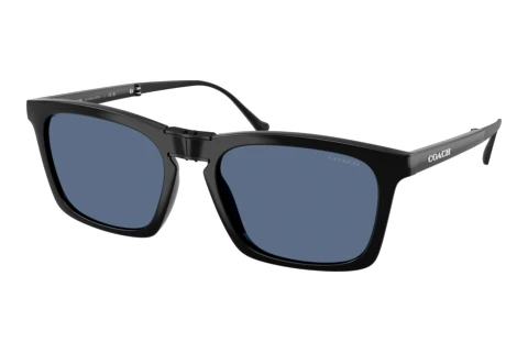 Sunglasses Coach CDP54 (HC8455 500280)