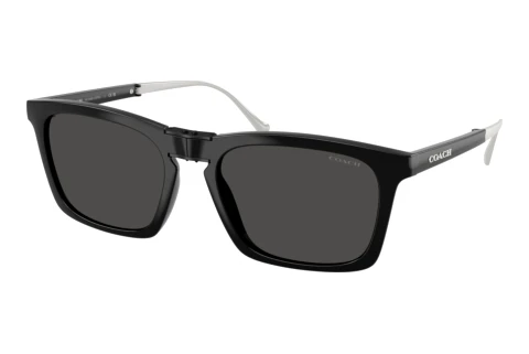 Sunglasses Coach CDP54 (HC8455 500287)