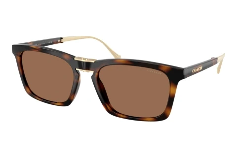 Sunglasses Coach CDP54 (HC8455 512013)
