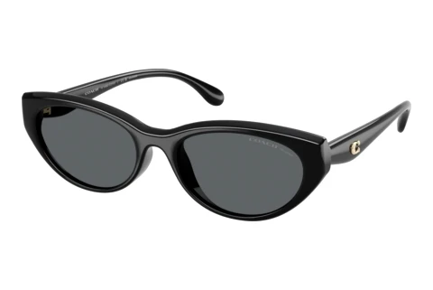 Sunglasses Coach CDP42 (HC8456D 500281)