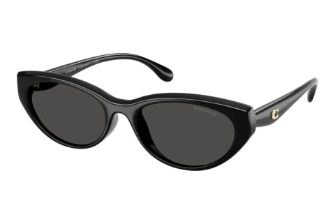 Sunglasses Coach CDP42 (HC8456D 500287)