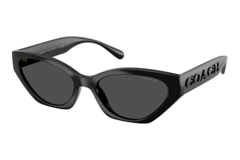 Sunglasses Coach CFT83 (HC8459U 500287)