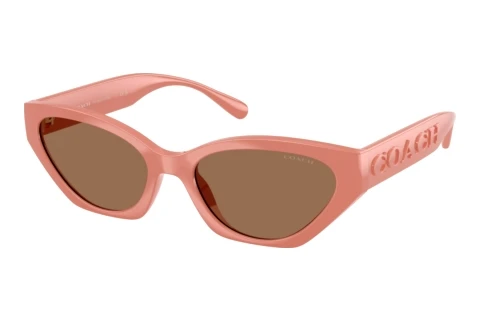 Sunglasses Coach CFT83 (HC8459U 595573)