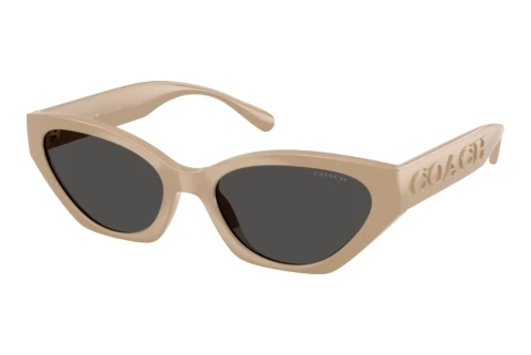Sunglasses Coach CFT83 (HC8459U 595687)
