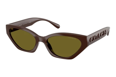 Sunglasses Coach CFT83 (HC8459U 5957/2)