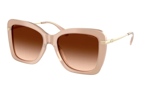 Sunglasses Coach CFU03 (HC8461U 598074)