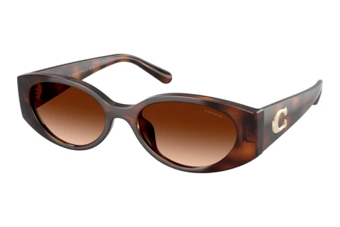 Sunglasses Coach CFU06 (HC8462U 512074)