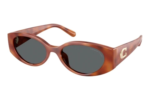 Sunglasses Coach CFU06 (HC8462U 577481)
