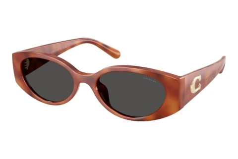 Sunglasses Coach CFU06 (HC8462U 577487)