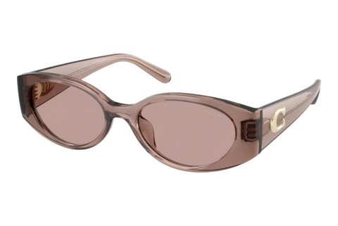 Sunglasses Coach CFU06 (HC8462U 59627N)