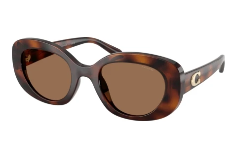 Sunglasses Coach CFU08 (HC8463U 512073)