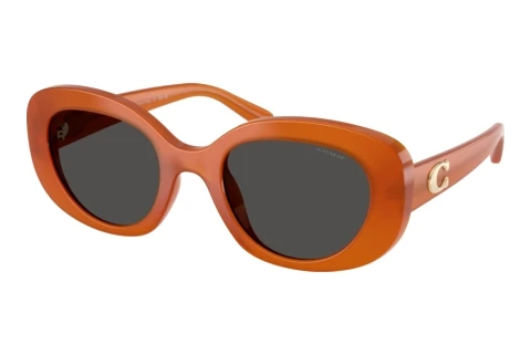 Sunglasses Coach CFU08 (HC8463U 593087)