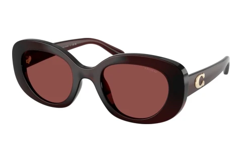 Sunglasses Coach CFU08 (HC8463U 596375)