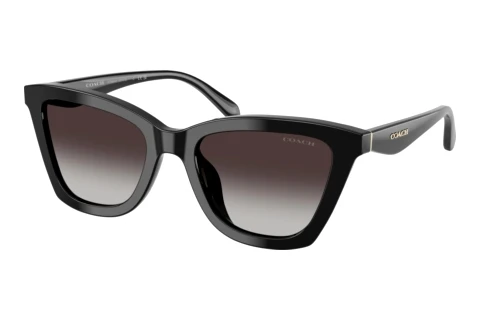 Sunglasses Coach CFU10 (HC8464U 50028G)