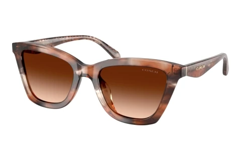 Sunglasses Coach CFU10 (HC8464U 596574)