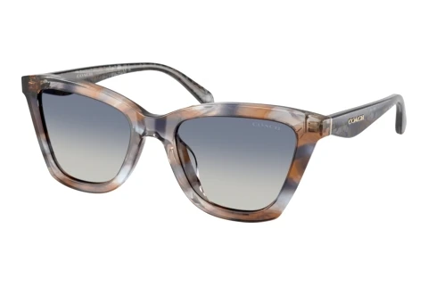 Sunglasses Coach CFU10 (HC8464U 596614)