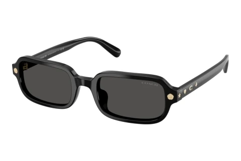 Sunglasses Coach CFU11 (HC8465U 500287)