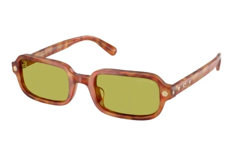 Sunglasses Coach CFU11 (HC8465U 5774/2)