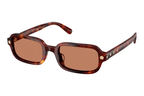 Sunglasses Coach CFU11 (HC8465U 593873)