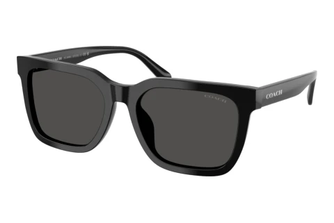 Sunglasses Coach CFU12 (HC8466U 500287)