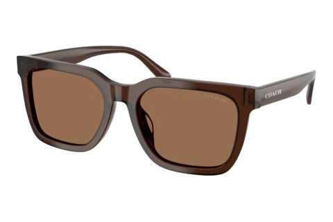 Sunglasses Coach CFU12 (HC8466U 597373)