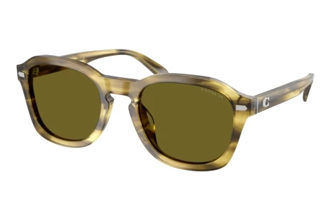 Sunglasses Coach CFU14 (HC8467U 5945/2)