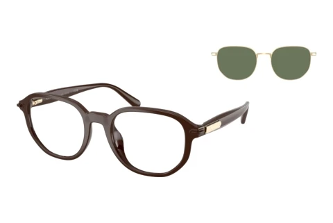 Sunglasses Coach CFU15 (HC8468U 597782)