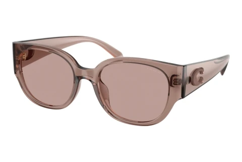 Sunglasses Coach CFU17 (HC8469D 59627N)