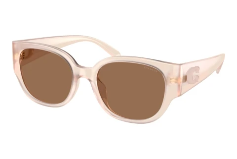 Sunglasses Coach CFU17 (HC8469D 597673)
