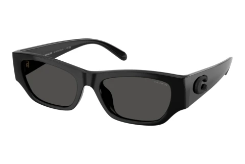 Sunglasses Coach CFU16 (HC8470D 500287)