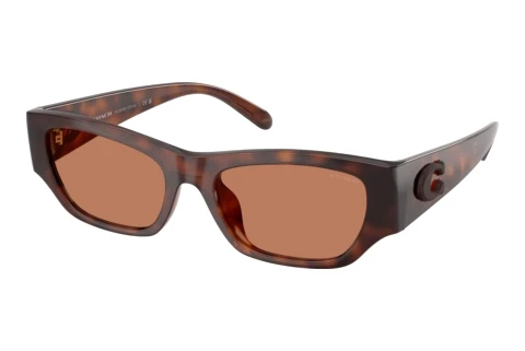 Sunglasses Coach CFU16 (HC8470D 5120/3)