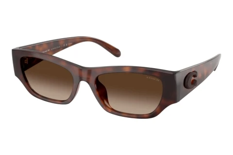 Sunglasses Coach CFU16 (HC8470D 512087)