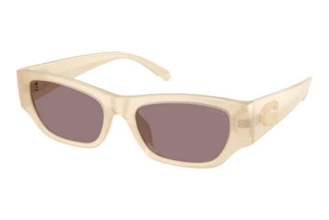 Sunglasses Coach CFU16 (HC8470D 58857N)