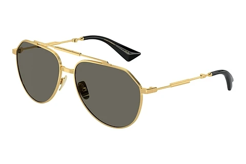 Sunglasses Dolce & Gabbana DG2302 02/R5