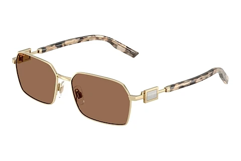 Sunglasses Dolce & Gabbana DG2316 488/73