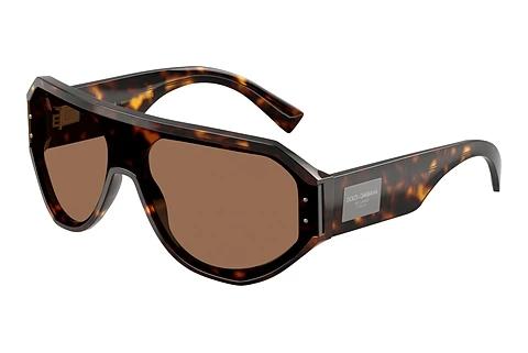 Sunglasses Dolce & Gabbana DG4481 502/73