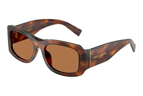 Sunglasses Dolce & Gabbana DG4503 306373