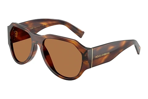 Sunglasses Dolce & Gabbana DG4504 306373