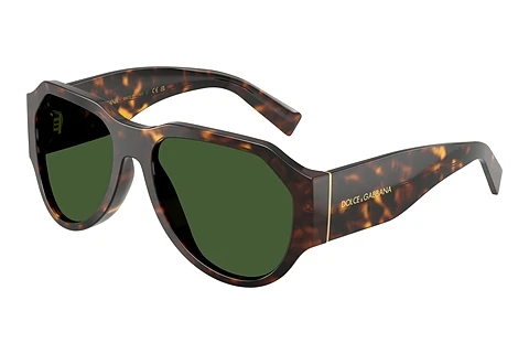 Sunglasses Dolce & Gabbana DG4504 502/71
