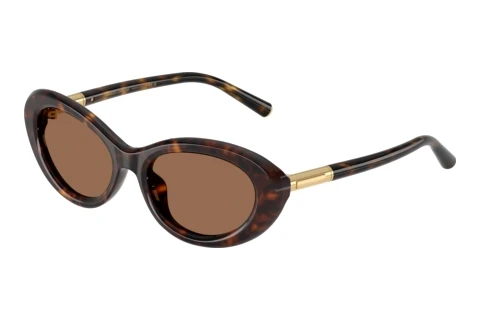 Sunglasses Dolce & Gabbana DG4519 502/73