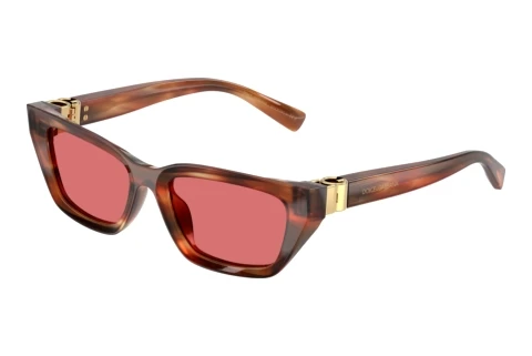 Sunglasses Dolce & Gabbana DG4532 322175