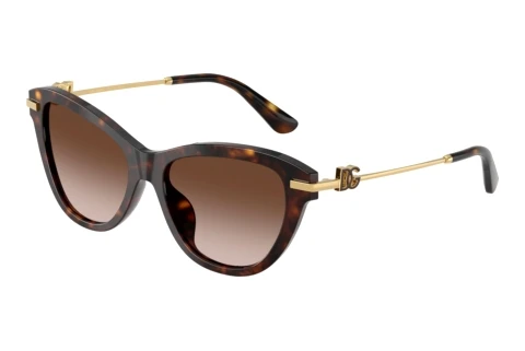 Sunglasses Dolce & Gabbana DG4534 502/13
