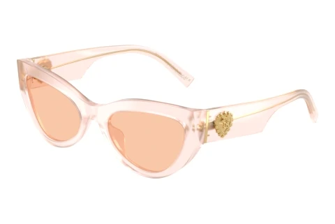 Sunglasses Dolce & Gabbana DG4536 304173