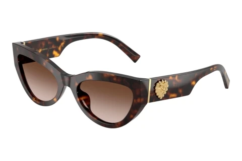 Sunglasses Dolce & Gabbana DG4536 502/13
